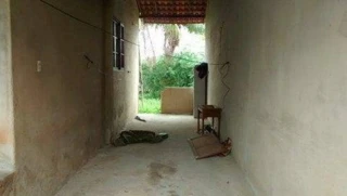 Imóvel 2730229 [''] - ['Rua Miranda Mendes, 17, Santa Isabel, São Gonçalo, RJ'] ['Santa Izabel'] - ['São Gonçalo']/['RJ'] - 1