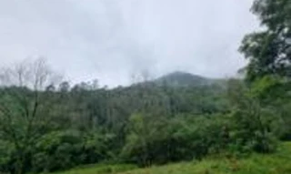 Imóvel 2511929 [''] - ['Tamanduá, Marques de Souza'] [''] - ['Marques De Souza']/['RS'] - 1