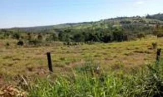 Imóvel 2992029 [''] - ['Gleba Lote 29, Projeto de Assentamento Eli Moreira, Gleba Corumbiara, Pimenta Bueno'] [''] - ['Pimenta Bueno']/['RO'] - 1