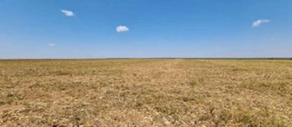 Imóvel 2935829 [''] - ['Fazenda Esmeralda'] [''] - ['Brasnorte']/['MT'] - 1