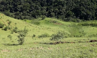 Imóvel 2965929 [''] - ['Estrada Municipal Adolfo Rodrigues Simoes, s/n, Fazenda Alto do Paiolzinho, Luminosa, Brazópolis, MG, 37530-000, Estrada Municipal Adolfo Rodrigues Simoes, Brazópolis, MG, 37530-000'] [''] - ['Brazópolis']/['MG'] - 1