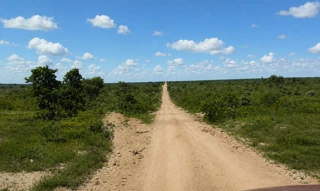 Imóvel 3004529 [''] - ['Zona Rural, s/n - Fazenda Boa Esperança - Zona Rural - Gaúcha do Norte / MT'] [''] - ['Gaúcha do Norte']/['MT'] - 1