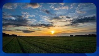 Imóvel 2436529 [''] - ['Rua Duque de Caxias, 450, esquina com a Praça Tubal Vilela'] ['Centro'] - ['Uberlândia']/['MG'] - 1