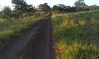 Imóvel 2554429 [''] - ['FAZENDA PRATA DOS NETOS, CERRADO'] [''] - ['Presidente Olegário']/['MG'] - 1