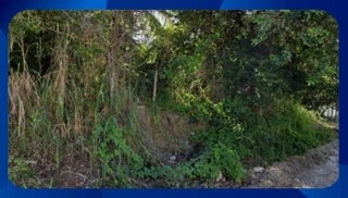 Imóvel 1740029 [''] - ['LOTES DE Nº02, 03, 04, 05, 15, 16, 17 DA QUADRA 26, INTEGRANTE DO LOTEAMENTO CATUMA DE CIMA'] [''] - ['Goiana']/['PE'] - 1