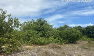 Imóvel 2276929 ['IDR184671'] - ["Rodovia Camilo Calazans de Magalhães (Estrada do Abais), s/n, Quadra 72, Lote 25, Loteamento Vila Rica do Abais, Itaporanga D'ajuda, SE, 49120-000"] [''] - ["Itaporanga D'Ajuda"]/['SE'] - 1