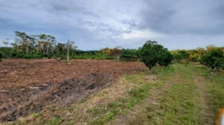 Imóvel 2522929 [''] - ['Travessa da Pedreira, 201, Zona Rural'] ['Distrito Industrial'] - ['Santa Cruz Do Sul']/['RS'] - 1