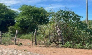 Imóvel 2667229 [''] - ['Rua Euclídes L. Rebouças, s/nº - Mel de Baixo - Pé da Serra - Areia Branca / RN'] [''] - ['Areia Branca']/['RN'] - 1