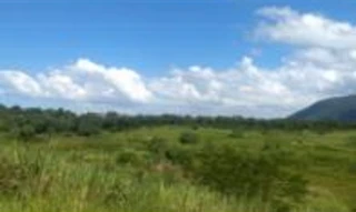 Imóvel 2717029 [''] - ['Vila Verde, Casimiro de Abreu'] ['Vila Verde'] - ['Casimiro De Abreu']/['RJ'] - 1