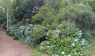 Imóvel 2556329 [''] - ['Rua O'] [''] - ['São Francisco De Paula']/['RS'] - 1