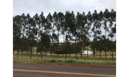 Casa em Bandeirantes, , Fazenda Vitoria, PR. Área: 6979.01m2 - imagem 0