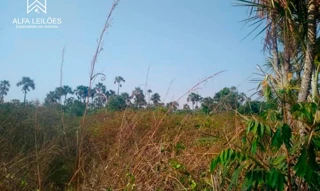 Imóvel 2595630 [''] - ['Rua Dinah Silveira de Queiros'] [''] - ['São Desidério']/['BA'] - 1