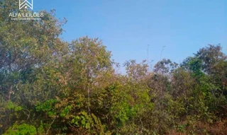 Imóvel 2595630 [''] - ['Rua Dinah Silveira de Queiros'] [''] - ['São Desidério']/['BA'] - 1