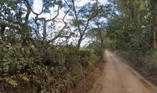 Imóvel 2599730 [''] - ['Cachoeira da Prata, MG'] [''] - ['Cachoeira Da Prata']/['MG'] - 1