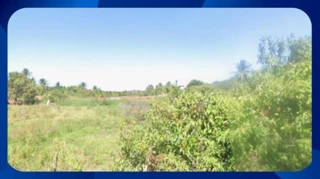 Imóvel 2615330 [''] - [', SN - NO LUGAR CASTELO, DENOMINADO TERRAS DO EUZEBIO, NO LADO IMPAR DA RUA L, NO MUNICÍPIO DE AQUIRAZ/CE. CONSTITUIDO PELOS LOTES DE Nº 8 AO 10 DA QUANDRA N°12'] [''] - ['Aquiraz']/['CE'] - 1