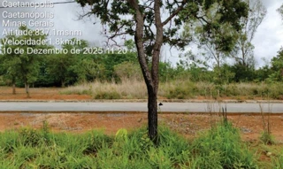 Imóvel 3040430 [''] - ['Avenida Europa, S/N, Lote 4, Quadra 2, Garden Ville, Caetanópolis, MG, 35770-000, , Caetanópolis/MG'] [''] - ['Caetanópolis']/['MG'] - 1