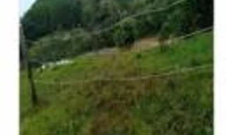 Imóvel 3037330 [''] - ['lugar Salto do Itajaí, distrito de Itaió'] [''] - ['Itaiópolis']/['SC'] - 1