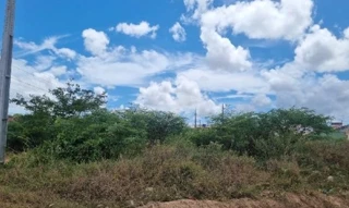 Imóvel 2932230 ['8444430977175'] - ['RUA B,N. SN QD 21 LT 01B, SANTA INES - CEP: 49160-000, NOSSA SENHORA DO SOCORRO - SERGIPE'] ['Taiçoca de Fora'] - ['Nossa Senhora do Socorro']/['SE'] - 1