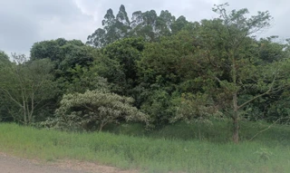 Imóvel 2692930 [''] - ['Rua Vidal de Negreiros'] ['Centro'] - ['Estância Velha']/['RS'] - 1