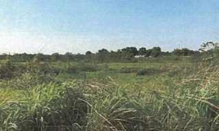 Imóvel 2596630 [''] - ['Nao informado Nao informado'] [''] - ['Redenção']/['PA'] - 1