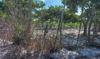 Imóvel 2665930 [''] - ['Rua E, s/n, Quadra 27, Lote 13 ao 50, Loteamento Cidade Oete, Curimatã, Pacajus, CE, CEP: 62870-000'] [''] - ['Pacajus']/['CE'] - 1