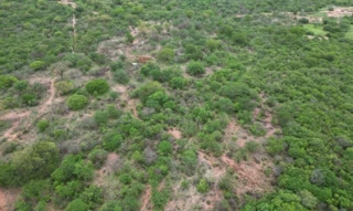 Imóvel 2996931 [''] - ['SÍTIO TAPUIO DA FAZENDA ANGICO'] [''] - ['Ouricuri']/['PE'] - 1