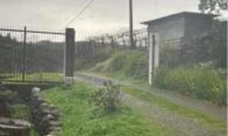 Imóvel 3048131 [''] - ['Estrada Henrique Antonio Galafassi, s/n° - Linha Palmeiro'] [''] - ['Farroupilha']/['RS'] - 1