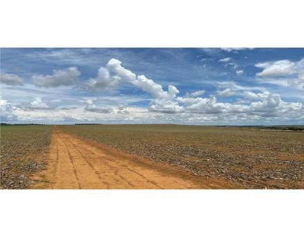 Imóvel rural em Silvânia, , Fazenda FUNIL, lugar denominado BOUGANVILLE, GO. Área: 231.8216m2