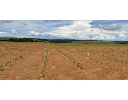 Imóvel rural em Silvânia, , Fazenda FUNIL, lugar denominado BOUGANVILLE, GO. Área: 231.8216m2 - imagem 0