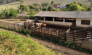 Imóvel 2968031 [''] - ['RODOVIA BR 040, KM652- FAZENDA HAVAÍ'] [''] - ['Cristiano Otoni']/['MG'] - 1