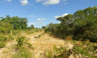 Imóvel 2958831 [''] - ['Avenida Tocantins, s/n, Santa Rita, Alto Parnaíba, MA, 65810-000, , Alto Parnaíba/MA'] [''] - ['Alto Parnaíba']/['MA'] - 1