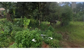 Imóvel 2595231 [''] - ['Rua Anibal Rodrigues de Oliveira Lote 05 Quadra 02, Dois Irmãos, Barão de Cocais/MG'] [''] - ['Barão De Cocais']/['MG'] - 1