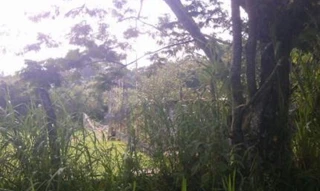Imóvel 2977631 [''] - ['Avenida Ecologista João de Oliveira Ramos de Sá, 35, Itatuba, Embu dasArtes/SP'] ['Itatuba'] - ['Embu Das Artes']/['SP'] - 1