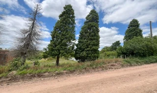 Imóvel 2571031 [''] - ['Rua Marechal Deodoro'] [''] - ['Herval']/['RS'] - 1