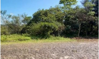 Imóvel 2981031 [''] - ['Rua Ceará, s/nº - Terreno - Lote 49 do Setor 02 - São Jacó - Sapiranga / RS'] ['São Jaco'] - ['Sapiranga']/['RS'] - 1