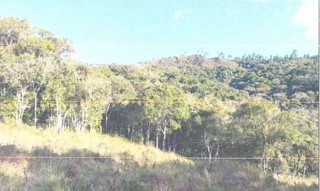 Imóvel 2635031 [''] - ['Rio de Dentro, Município de Angelina, comarca de Santo Amaro da Imperatriz'] [''] - ['Angelina']/['SC'] - 1