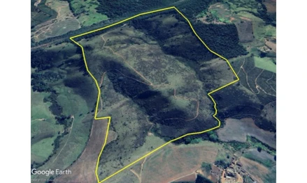 Imóvel rural em Conceição do Rio Verde, Pasto Peitudo, s/n - Zona Rural, MG. Área: 140000m2