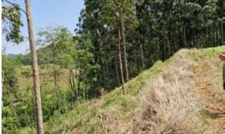 Imóvel 2724131 [''] - [', LOTE 83 - FAZENDA CAMPINA DO GREGÓRIO - INTERIOR'] [''] - ['Coronel Freitas']/['SC'] - 1