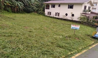 Imóvel 2646731 [''] - ['Rua Alfredo Gazzola, Bairro Baixada Fluminense'] ['Centro'] - ['Urussanga']/['SC'] - 1