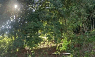 Imóvel 2659331 [''] - ['RUA BELGICA, 20 - JARDIM SEMINARIO - Francisco Beltrão - PR'] ['Seminário'] - ['Francisco Beltrão']/['PR'] - 1