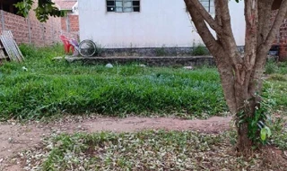 Imóvel 2656032 ['8555527736000'] - ['PROLONGAMENTO DA RUA JACAREZINHO,N. 210 LT 9, QD 1, CENTRO - CEP: 87450-000, TUNEIRAS DO OESTE - PARANA'] [''] - ['Tuneiras do Oeste']/['PR'] - 1