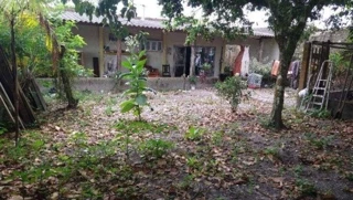 Imóvel 2600132 [''] - ['Rua Despraiado, 352, Rocio, Iguape, SP'] ['Rocio'] - ['Iguape']/['SP'] - 1