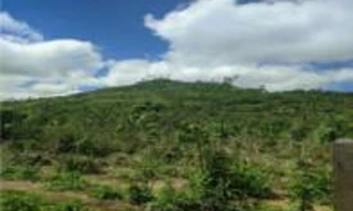 Imóvel 2856132 [''] - ['Projeto Fundiário Jaru Ouro Preto, Setor Nova Floresta, gleba Rio Alto'] [''] - ['Governador Jorge Teixeira']/['RO'] - 1