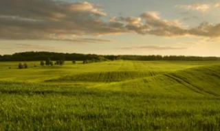 Imóvel 2680432 [''] - ['ZONA RURAL- DENOMINADO “SANTA MARIA”'] [''] - ['Leopoldina']/['MG'] - 1