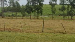 Imóvel 2599932 [''] - ['Rua Projetada'] [''] - ['Rio Brilhante']/['MS'] - 1