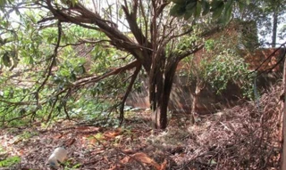 Imóvel 2635132 [''] - ['RUA ANA BORGES ORSOLINI - (LOTE 25 DA QUADRA F-3), S/N, PARQUE VIA NORTE'] ['Parque Via Norte'] - ['Campinas']/['SP'] - 1