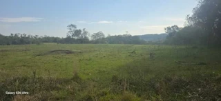 Imóvel 2982032 [''] - ['Uma extensão de terras rurais, com área de 137.500m², sem benfeitorias, parte do lote rural nº 19, da Linha Baixa'] [''] - ['Porto Xavier']/['RS'] - 1