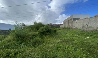 Imóvel 2336832 ['8444426273673'] - ['AVENIDA SANEAMENTO 1,N. S/N QD 21, LT 26-E, COMPLEXO JARDIM - CEP: 49164-057, NOSSA SENHORA DO SOCORRO - SERGIPE'] ['Santa Inês'] - ['Nossa Senhora Do Socorro']/['SE'] - 1