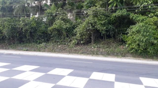 Imóvel 2958332 [''] - ['RUA AUBÉ COM SERVIDÃO FRITZ, S/Nº, BOA VISTA (CENTRO)'] ['Boa Vista'] - ['Joinville']/['SC'] - 1