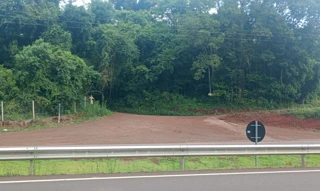 Imóvel 2839432 [''] - ['Pr 445 - Rio Santa Cruz Zona Rural Londrina PR'] [''] - ['Londrina']/['PR'] - 1